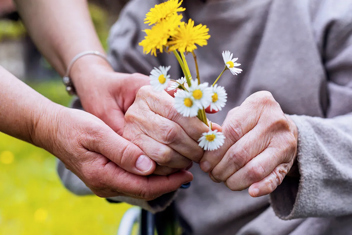 Dementia, Social and Community Care, Wellness and Prevention, Cognitive and Brain Health